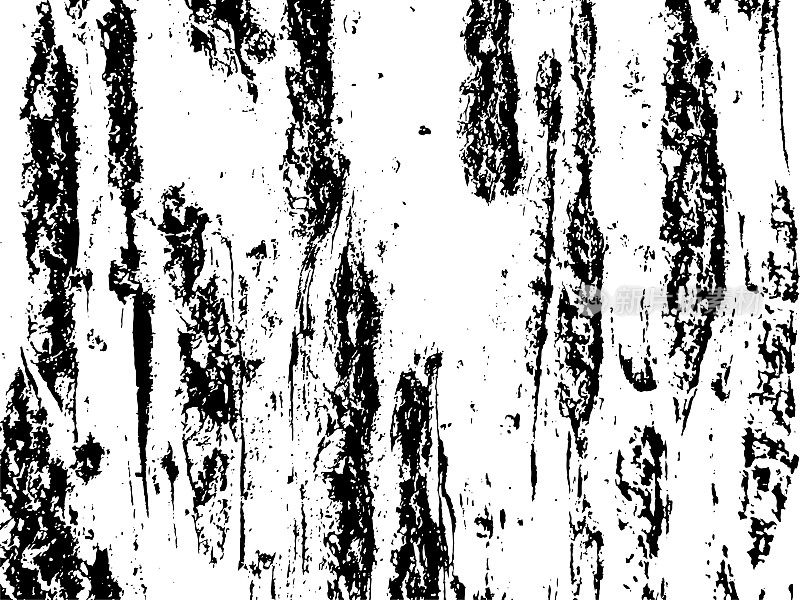 桦树霉菌苔藓树皮垃圾纹理。黑色灰尘Scratchy Pattern。抽象的背景。矢量设计作品。变形的效果。裂缝。